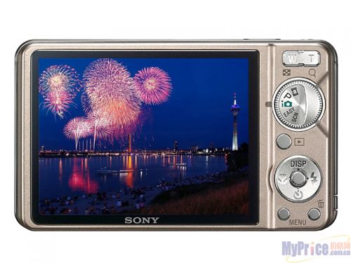 SONY W290