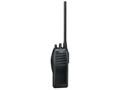 ICOM IC-F21ͼƬ