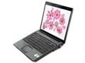 HP Compaq Presario V3625AUͼƬ