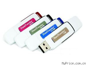 Kingston DataTraveler 110(4GB)