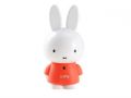 miffy ׷(2G)ͼƬ